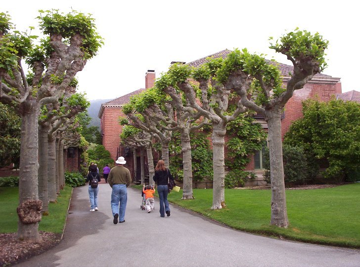 Filoli Garden Shop